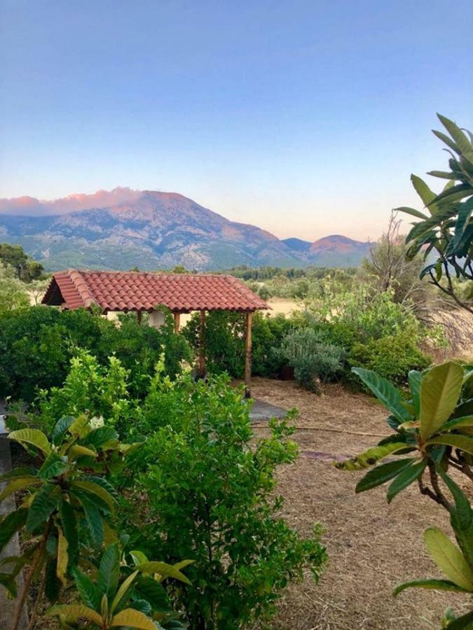 Villa Vasiliki Paliouras Exterior photo